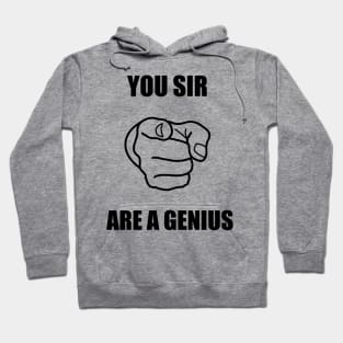 you sir are a genius Hoodie